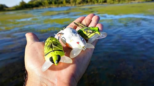 Testing NEW Lipped Topwater Frog Baits!! Good Idea or NAH??