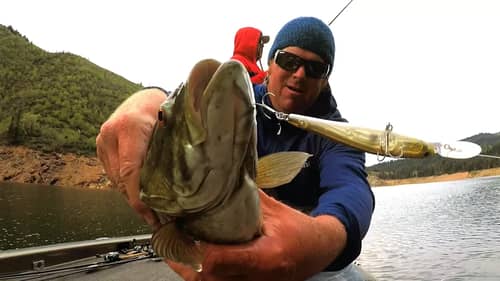 Jerkbaits Fishing Tips: Best Baits, rods, and More...