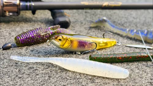 Bait Finesse Tricks You Have To Try! (BFS Fishing Tips For Summer And Fall)