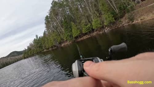 Testing out GoPro mounts while casting from the dock #fishing #bass #gopro #dock #basshogg #fpv