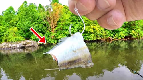 If You Like To Eat Catfish - Easy Way To Catch Loads!