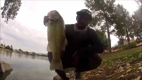 How To Catch Early Fall Schooling Bass (Part 2)