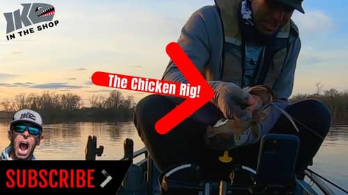 How to Fish the Chicken Rig!!