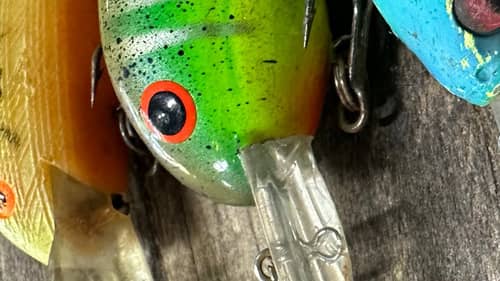 The Only 3 Crankbaits You Need For October And November Bass Fishing…