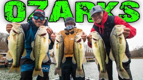 Crushing LAKE OF THE OZARKS Bass In The Winter/Early Spring!!