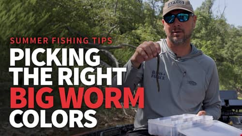 How I Choose my BIG WORM COLORS! (Offshore Bass Fishing)