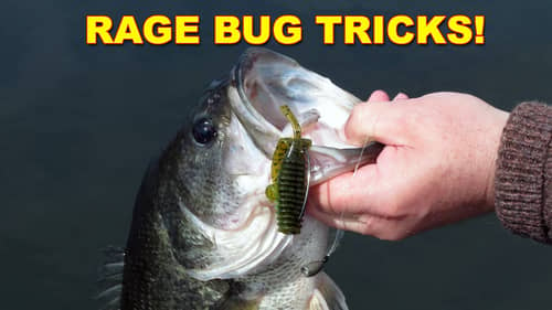 Rage Bug Tips That Work! | Bass Fishing