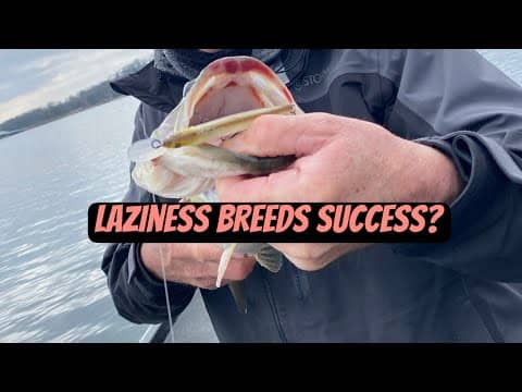 Why Lazy Bass Anglers Catch More Fish