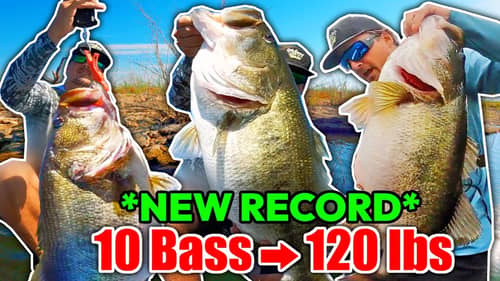 I Caught 10 Bass Weighing 120 POUNDS!! (New Record)