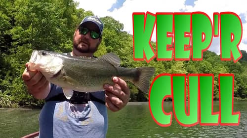 Piscifun Torrent Rod Review | Keep'r Cull