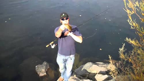 River Smallmouth Fishing