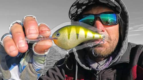 DIY CRANKBAIT TIPS to UP Your GAME!!!