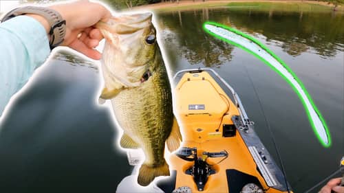 Worm Fishing from Kayak for Summer Bass