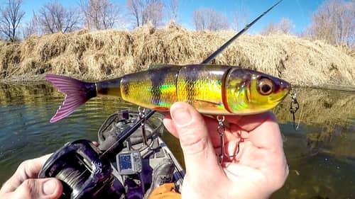 Search Muskie%20lures Fishing Videos on