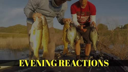Evening Reaction Bite in Northern California with Matt Tueten Part 4