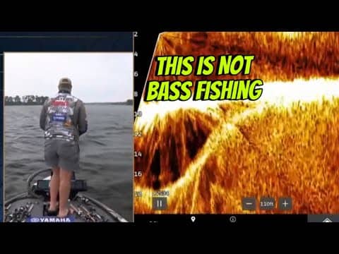 It’s Disgusting About What’s Taking Place At The Bassmaster Elite Series On Lake Murray Right Now…