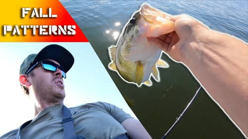 Fall Bass Fishing on Big Sam | Schooling Bass Found