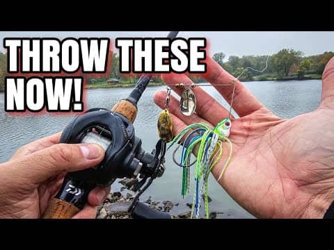 Spinnerbaits are STILL a TOP Bass Lure (Fall Bank Fishing)