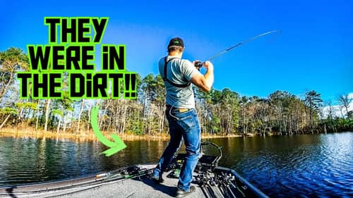 CATCHING Bass DIRT SHALLOW On the WORST LAKE In the STATE!! || Spring Bass Fishing