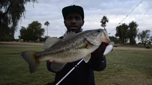 Catching Late Fall Crankbait Bass At Ponds