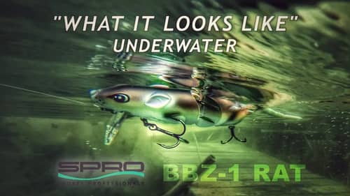 SPRO BBZ-1 Rat | What it Looks Like Underwater