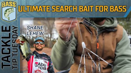LeHew's ULTIMATE search bait for Winter bass