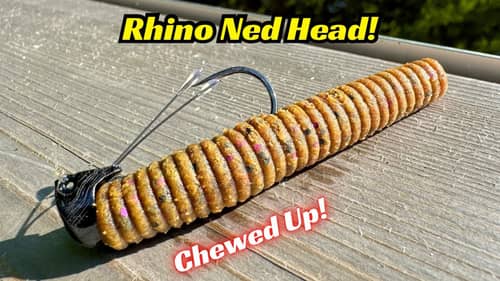 This Weedless Rhino Ned Head Needs To Be In Your Tackle Box!
