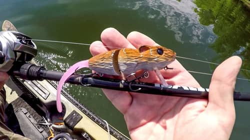 Trying A New Rat Lure On Smallmouth Bass!