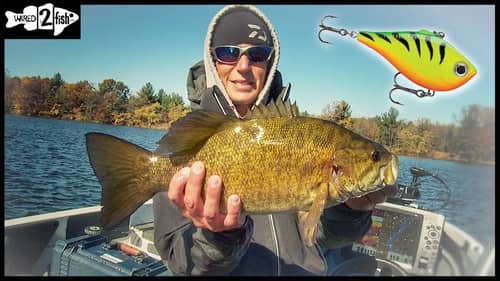 Lipless Crankbaits Excel for Fall Bass in Rivers