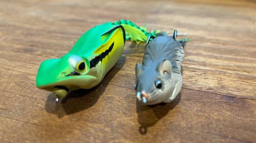 Frogs And Mice…Two BIG Mistakes Most Anglers Make With Them