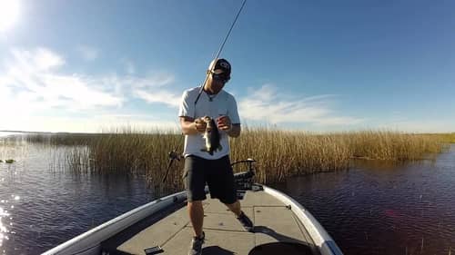 Paying Attention = Catching more Bass