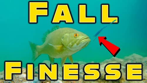 Best Finesse Baits For Fall Bass Fishing!