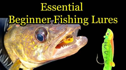 Search The%20beginners%20guide%20to%20good%20fishing Fishing