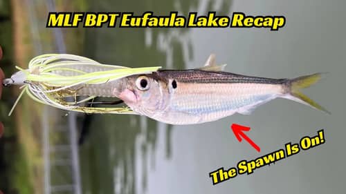 Day 1 Recap from MLF BPT on Lake Eufaula! Hanging In There!