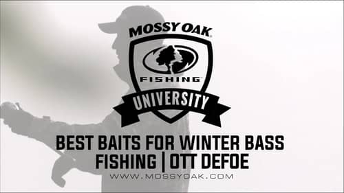 What Baits to Use in the Winter   Ott DeFoe Fishing Tips