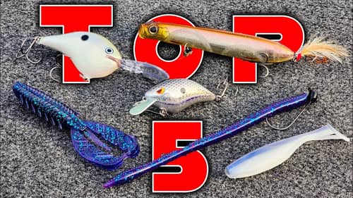 Top 5 Baits For June Bass Fishing!