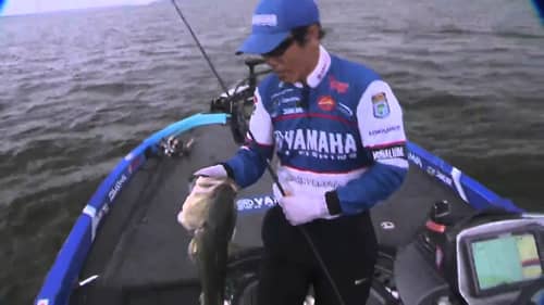 LIVE Rewind: Takahiro finds a monster bass on Wheeler Lake