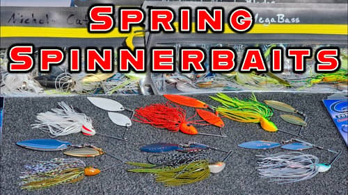 Spinnerbait Tricks For Spring Bass Fishing! ( Everything You Need To Know )
