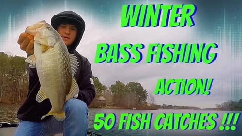 Winter Bass Fishing ~ Big Bass Action (50 Fish)