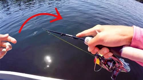 Smallmouth Roaming in PACKS in Deep Water!?