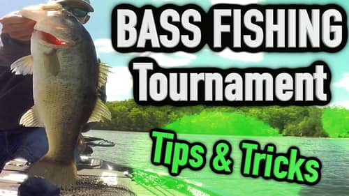 Bass Fishing Tournament ~ Big Bass & Tips and Tricks ! (Commentating Fishing)