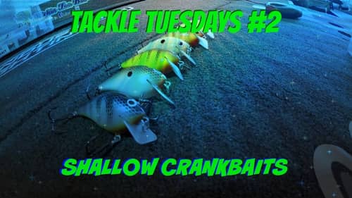 Tackle Tuesdays #2 ~ Crankbaits (Bass Fishing Shallow Crankbaits)