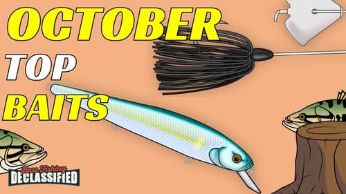 The TOP BAITS For Bass Fishing in October