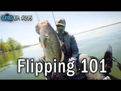 FLIPPING GRASS AND SHALLOW STRUCTURE | Summer Time Bass Fishing