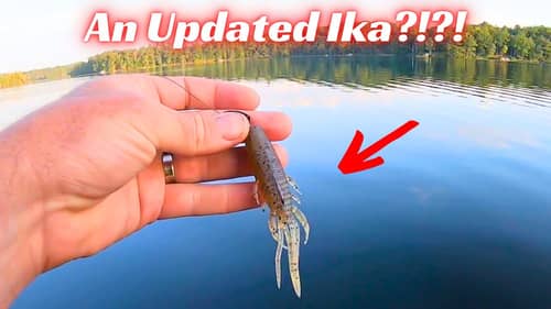 Is This An Updated Ika? Have You Tried It Yet?