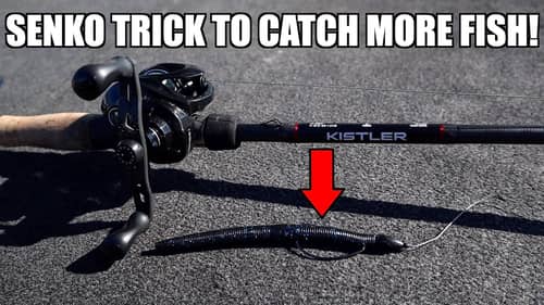 TRY THIS Senko Rig and Catch MORE Bass!