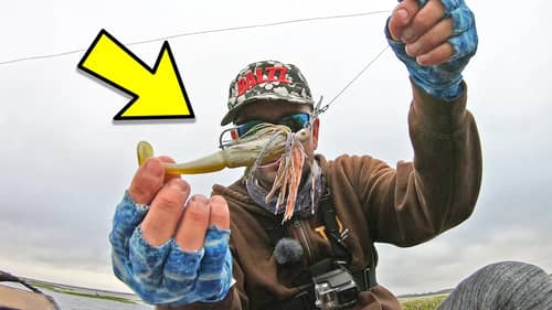 NEVER Fish a CHATTERBAIT Without These!!! (Spring BASS Lures)