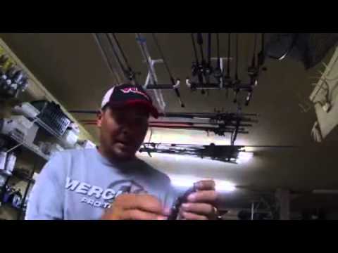 Jason talks about Yum's new Christie Craw and Christie Critter baits