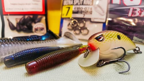 The Bass Fishing Trick You've Never Tried! Finesse Reaction Baits! 
