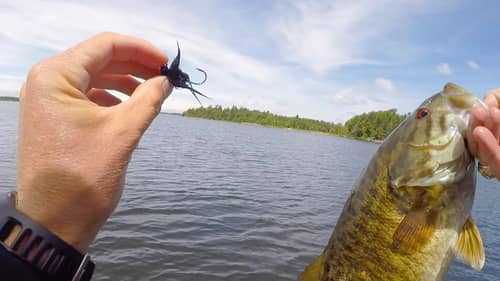Fishing for Smallmouth Bass with Tiny Worms and Jigs